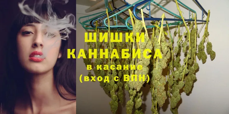 купить наркотики цена  Ельня  Шишки марихуана тримм 